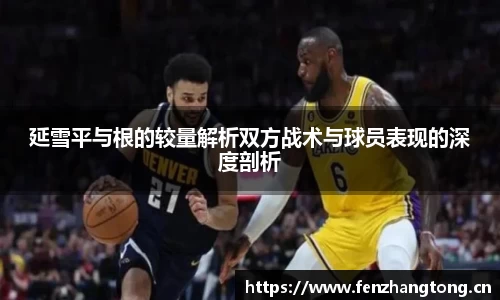 3377体育官网