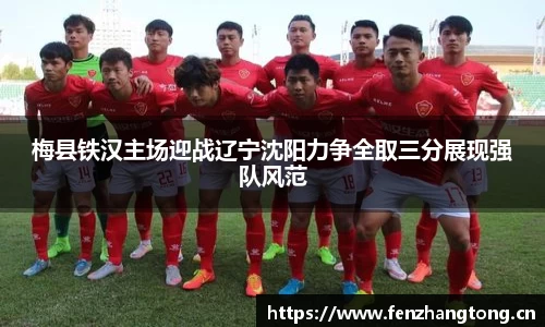 3377体育官网