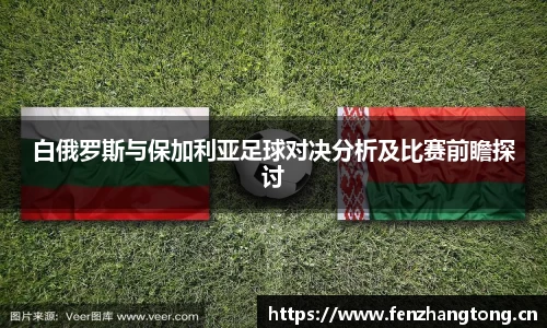 白俄罗斯与保加利亚足球对决分析及比赛前瞻探讨