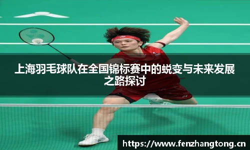 上海羽毛球队在全国锦标赛中的蜕变与未来发展之路探讨
